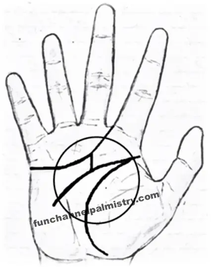 Money Lines/Wealth Lines||Money Line Palm Reading In Palmistry