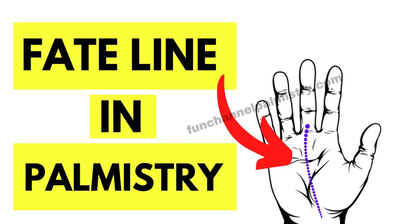 Types Of Fate Line In Palm Reading And Career Line On Palm