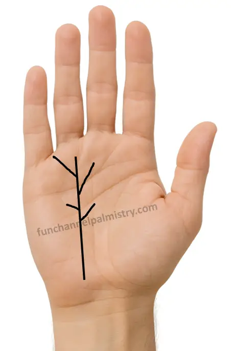 Rising branches from Sun line