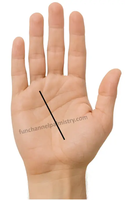 sun line starting from inside life line