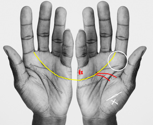 half moon shape on palm