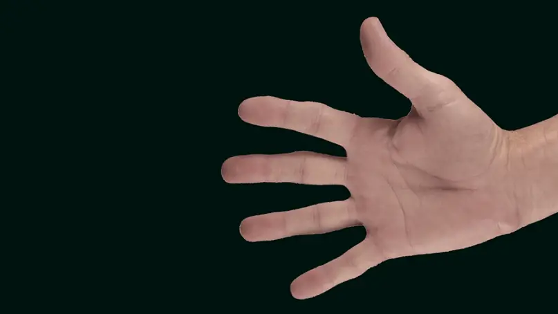 color of the hand is white in color