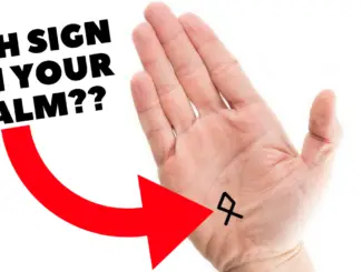 FISH SIGN ON YOUR PALM IN PALMISTRY