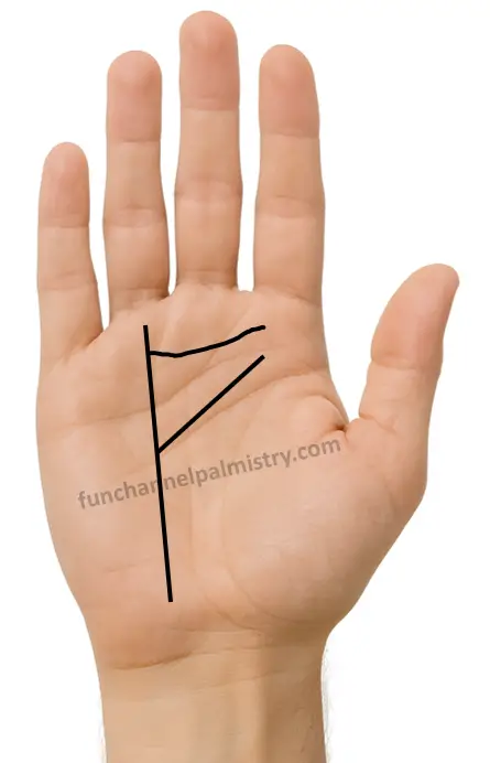 A branch from sun line to Jupiter mount