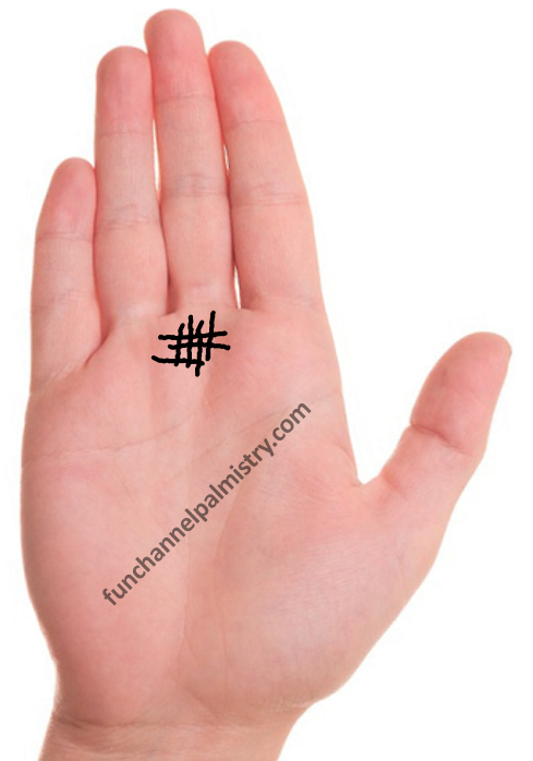 Grill on Saturn mount