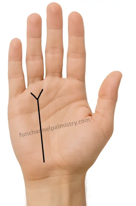 Sun line divides like a fork