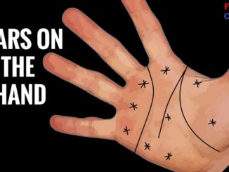 star sign in palmistry