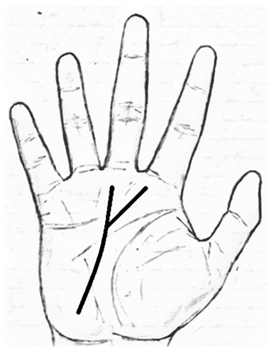 Branch from fate line to the mount of Jupiter