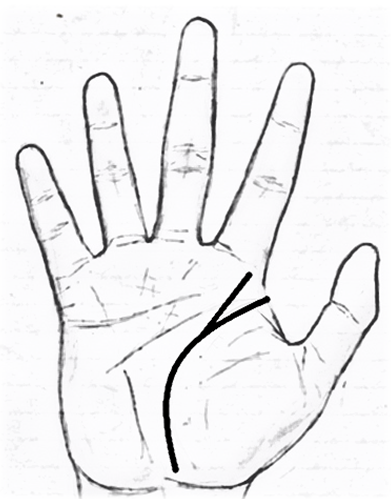 Line from life line to Jupiter mount