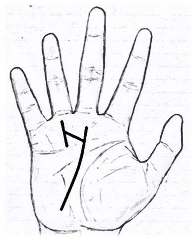 branch from fate line to sun mount