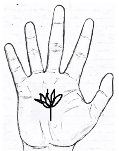 Lotus sign on palm palmistry