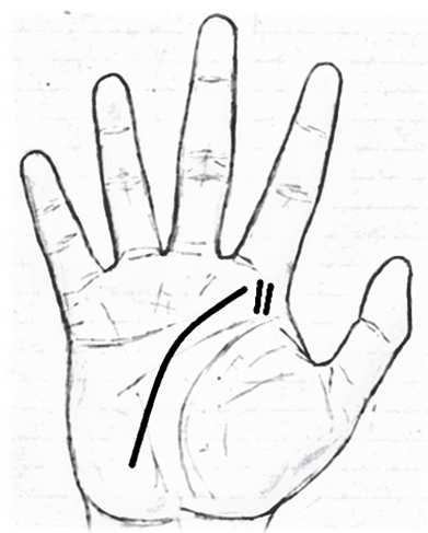 fate line curving towards mount of Jupiter/vertical lines on mount of Jupiter