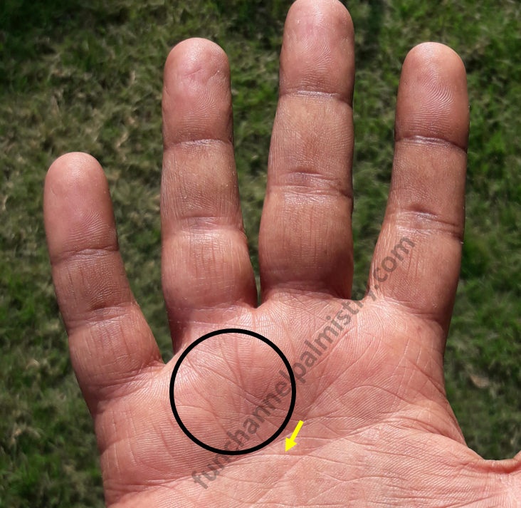 Divorce line in male palm