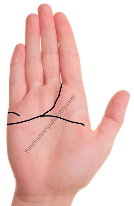 downward branches from the heart line