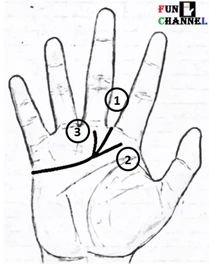 Heart line in palmistry