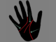 Major lines in palmistry-heart line,head line and the life line