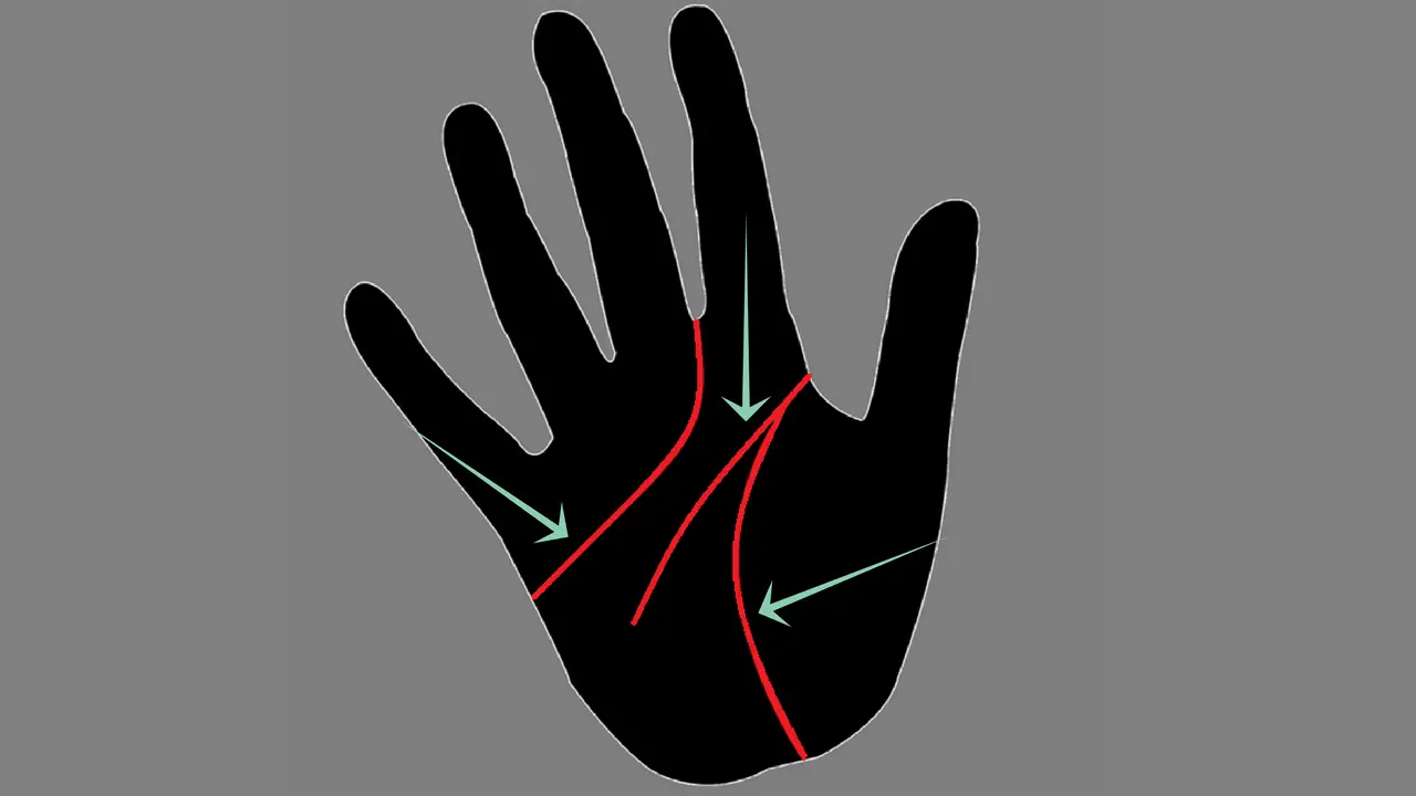 Major lines in palmistry-heart line,head line and the life line