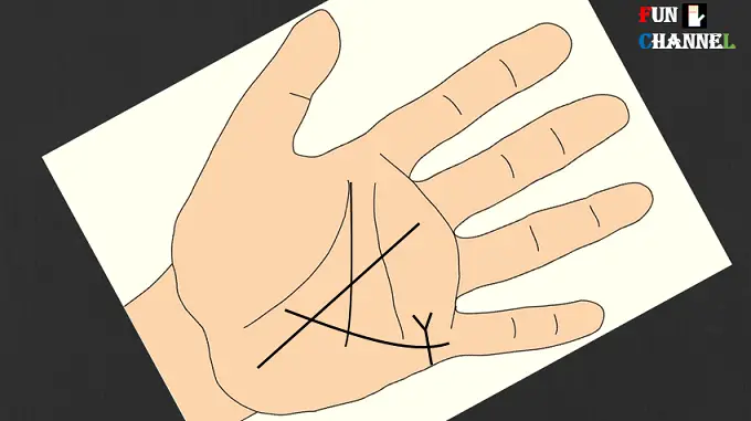 Fork on the marriage line