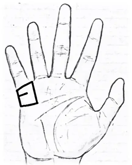 Mount of Mercury in palmistry