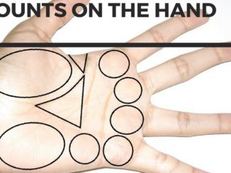 mounts on palm/mounts on hand in palmistry