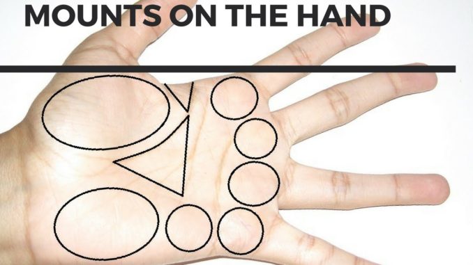 mounts on palm/mounts on hand in palmistry mounts on palm/mounts on hand in palmistry