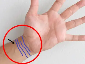 wrist lines (bracelet lines) in palmistry