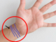 wrist lines (bracelet lines) in palmistry
