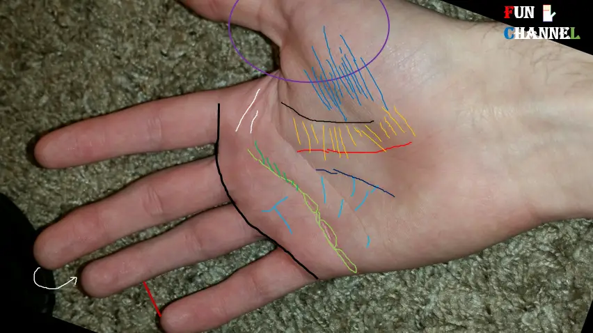 Detail Palm Analysis of a stressed person