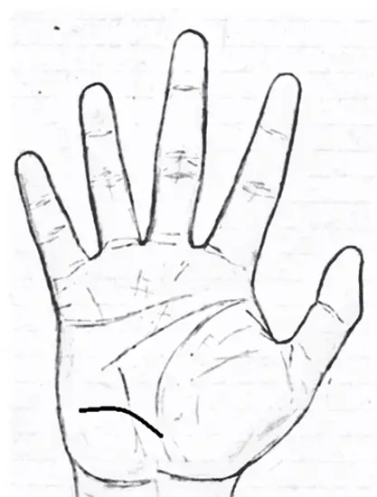 Addiction lines/Via Lascivia in palmistry