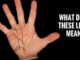 minor lines in palmistry