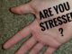 Stress lines in palmistry