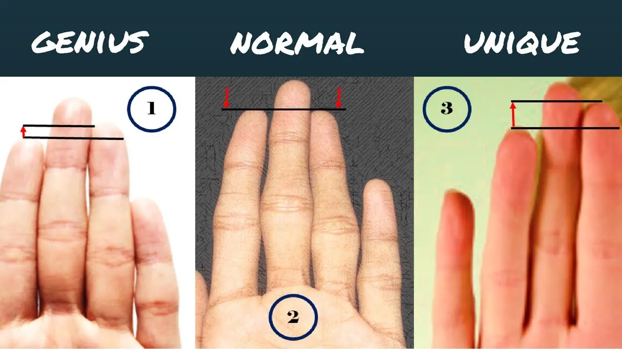 Length Of The Fingers And Your Personality-Palmistry