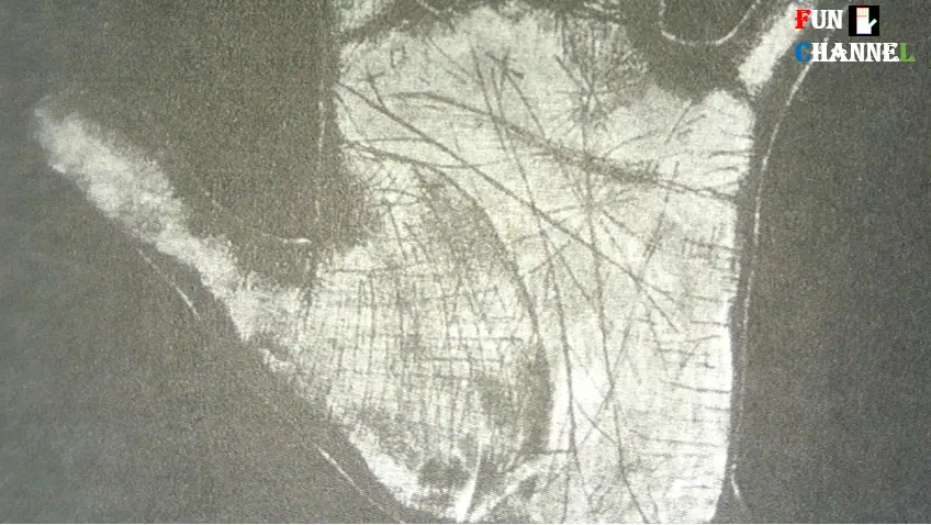 Palm Reading of Sarah Bernhardt hand