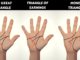 money triangle in palmistry