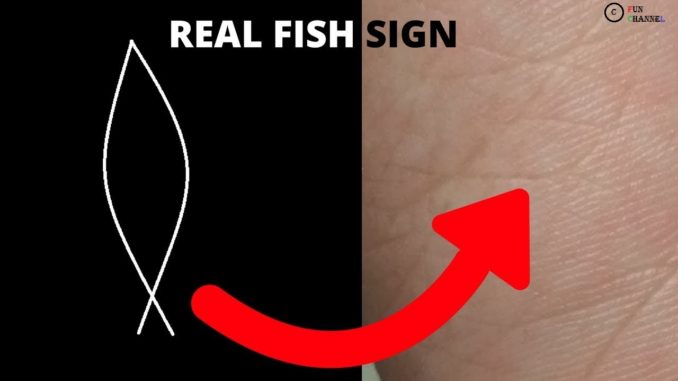 successful foreign travel in palmistry successful foreign travel in palmistry