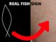 successful foreign travel in palmistry