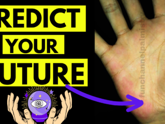 predict future palm reading