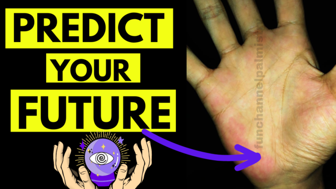 predict future palm reading