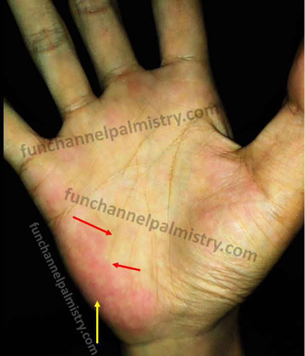 Future telling signs in palmistry