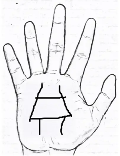 house sign in palmistry