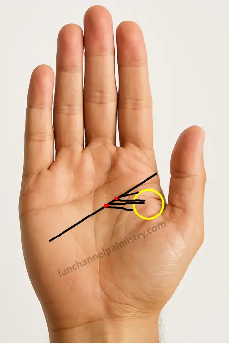 lines from the headline towards lower mount of mars