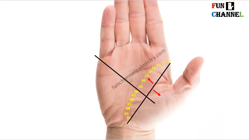 Life line on palm