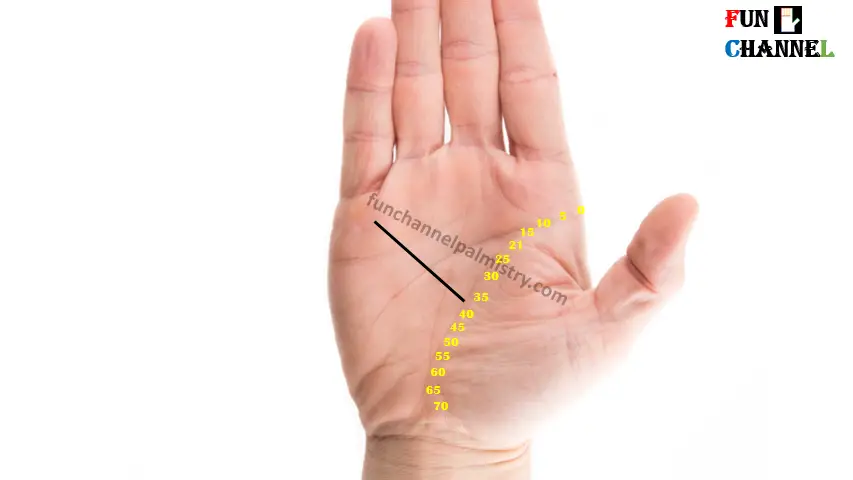line from life line to mercury mount