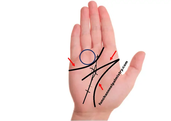 poverty signs in palmistry poverty signs in palmistry