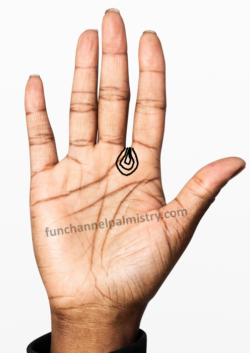 Raja loop in palmistry
