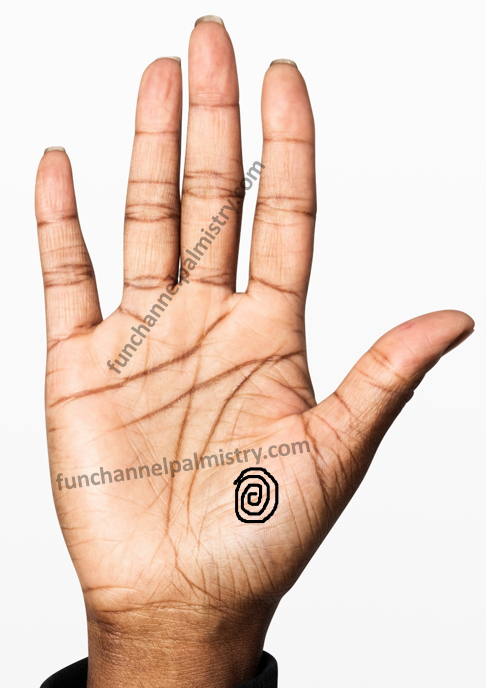 Whorl on the Venus mount