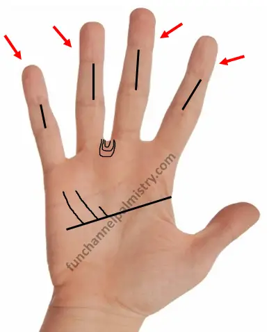 Thick fingers in palmistry