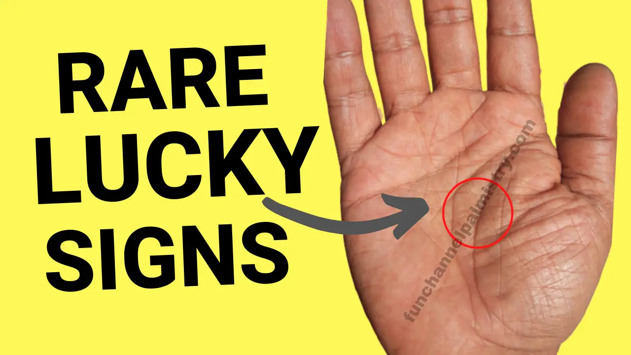 Signs On Hand Palmistry