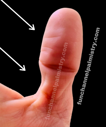 Early Success in Palmistry