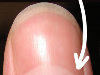 half moon on nails